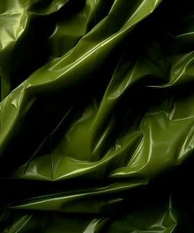 Wrinkled, shiny green fabric with light and shadow creating dynamic folds.