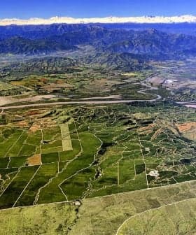 Aerial view showing extensive agricultural fields and mountainous terrain under a clear sky. - Olive Oil Times