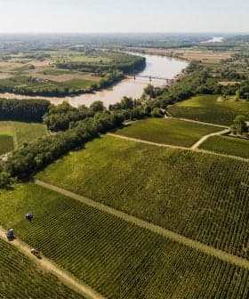 Aerial view of farmland in Gironde, France