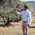 A man in a light blue shirt and beige pants is standing in an olive grove, gently touching the leaves of an olive tree. The background features rows of trees and a hilly landscape under a clear sky.