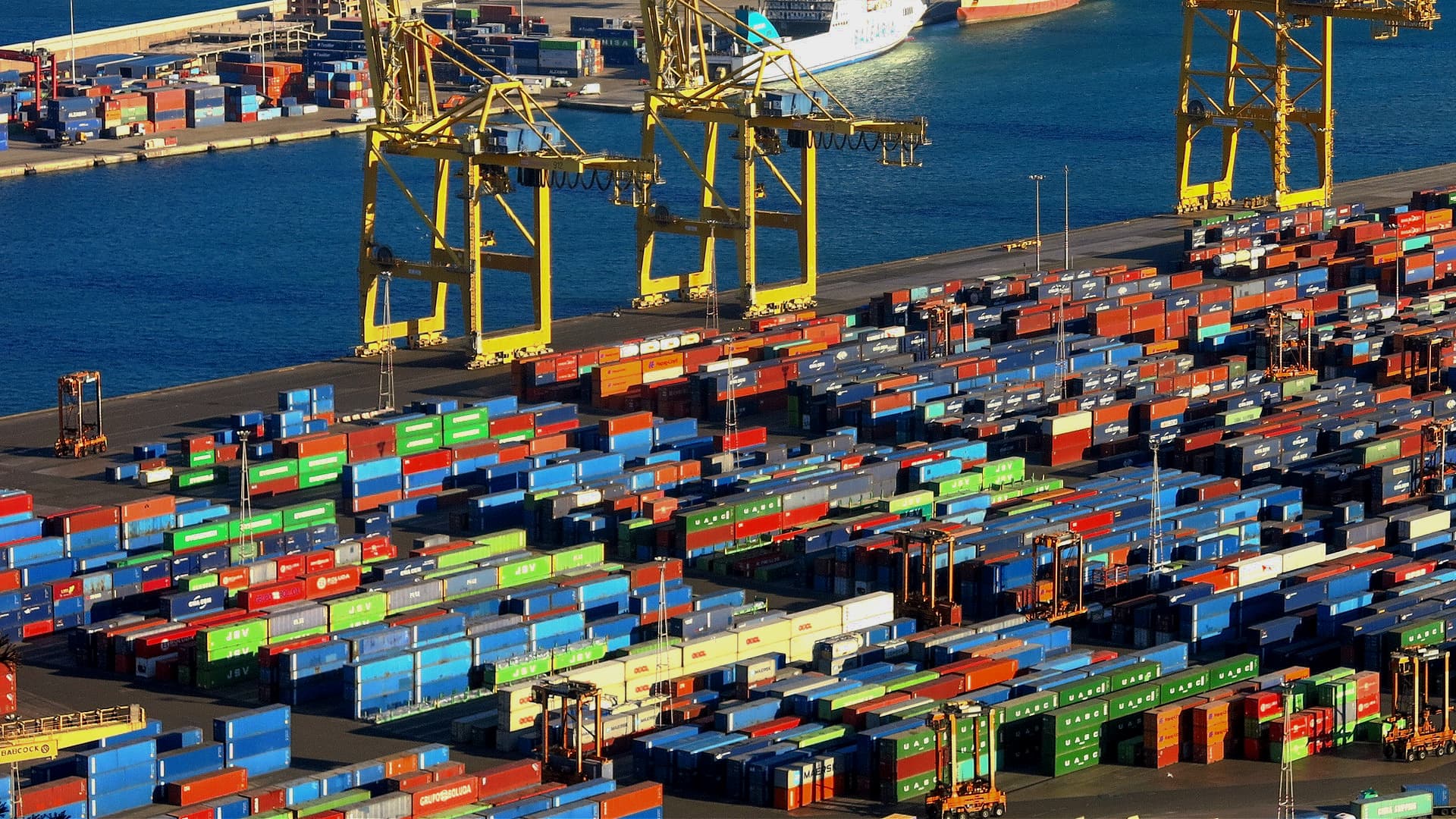 Spanish Olive Oil Exports Top One Million Tons as Prices Fall