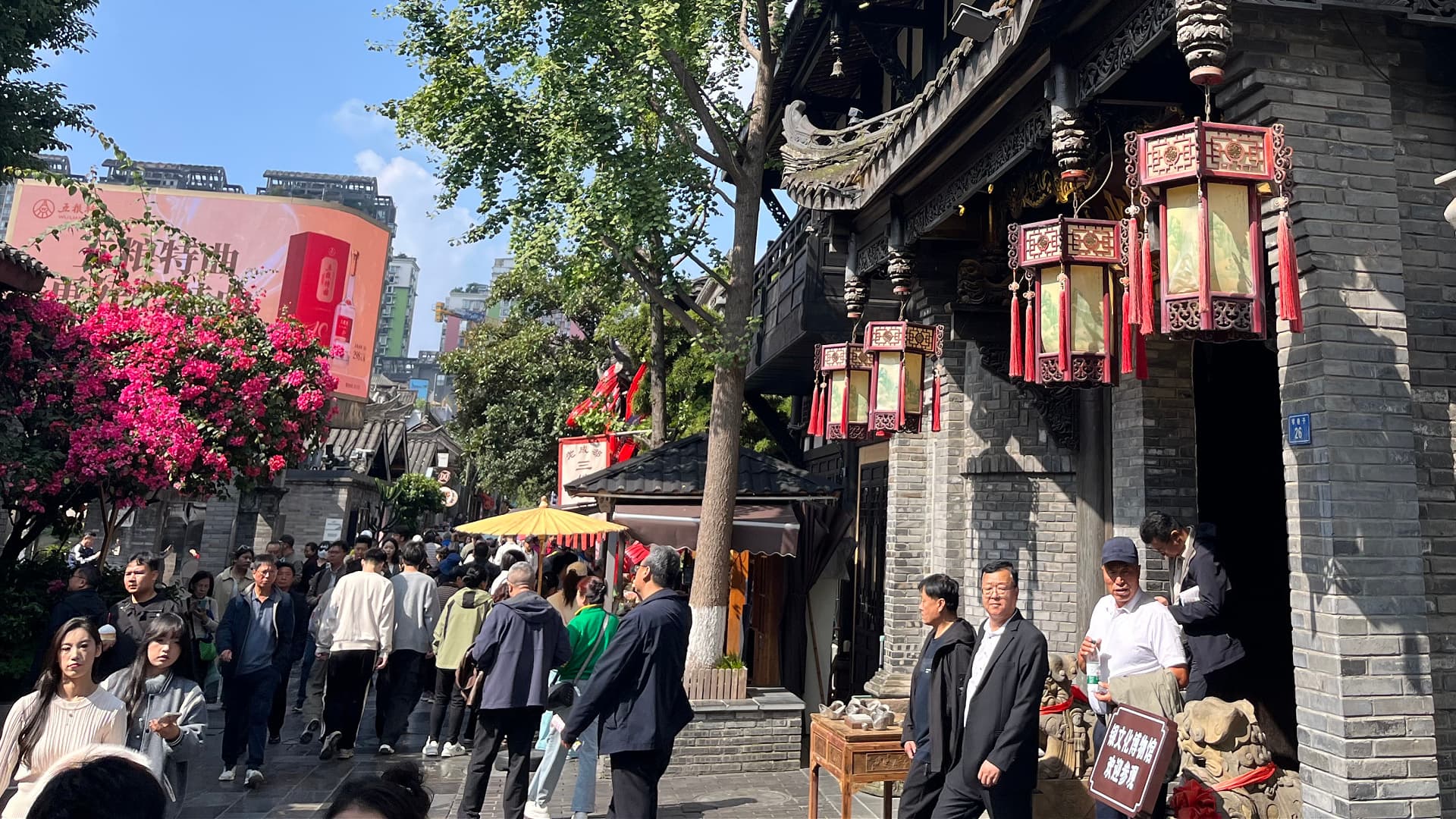 China’s Olive Oil Sector Alleviates Poverty but Struggles to Compete