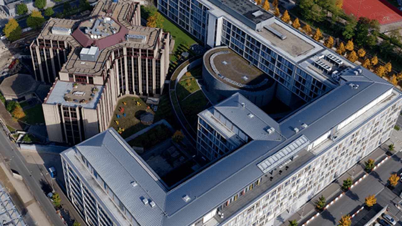 EU Audit Finds Gaps in Olive Oil Controls Despite Strong Regulatory Framework