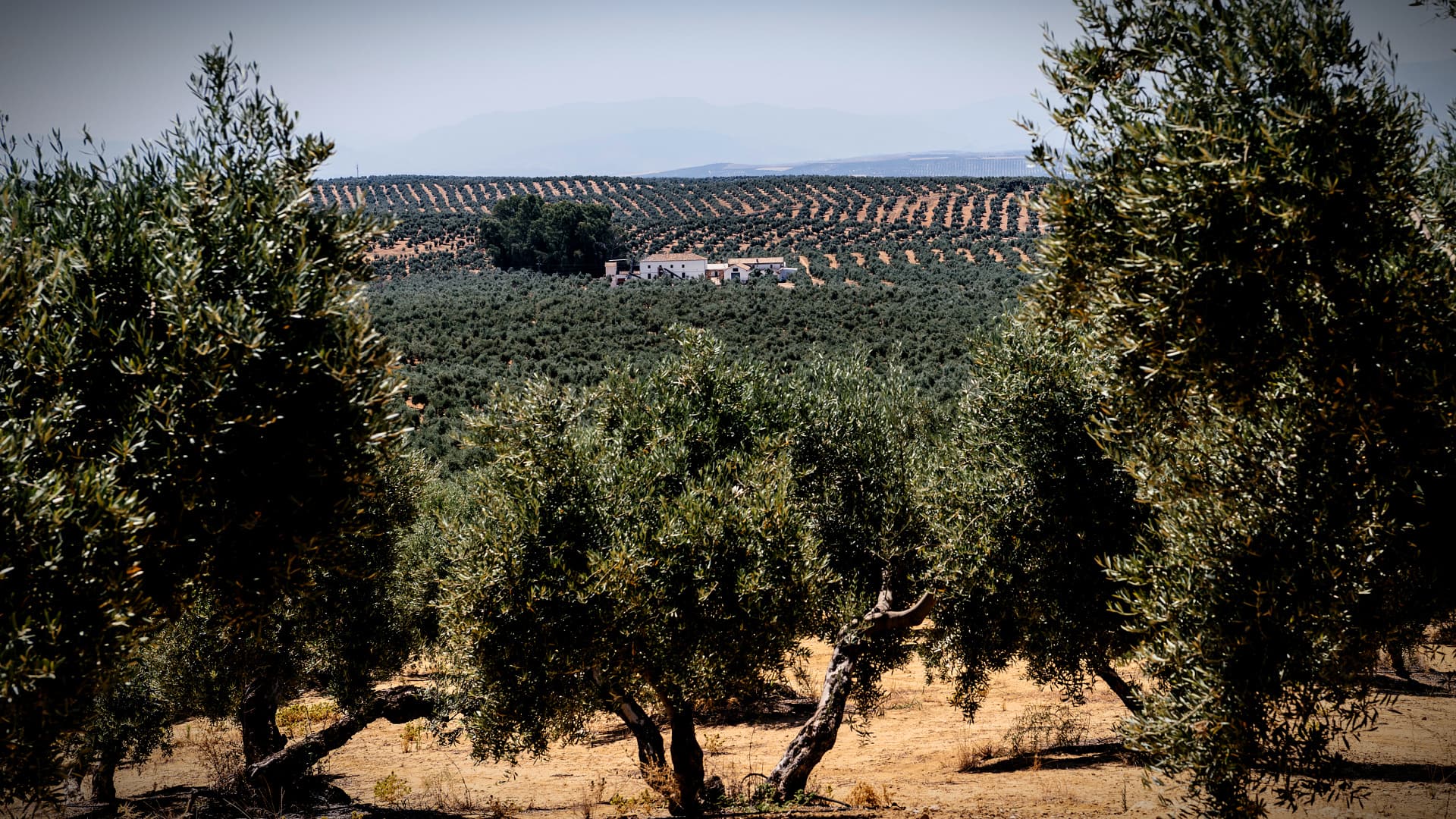Scientists Say Andalusia’s Recent Weather Extremes Point to Wider Mediterranean Trend