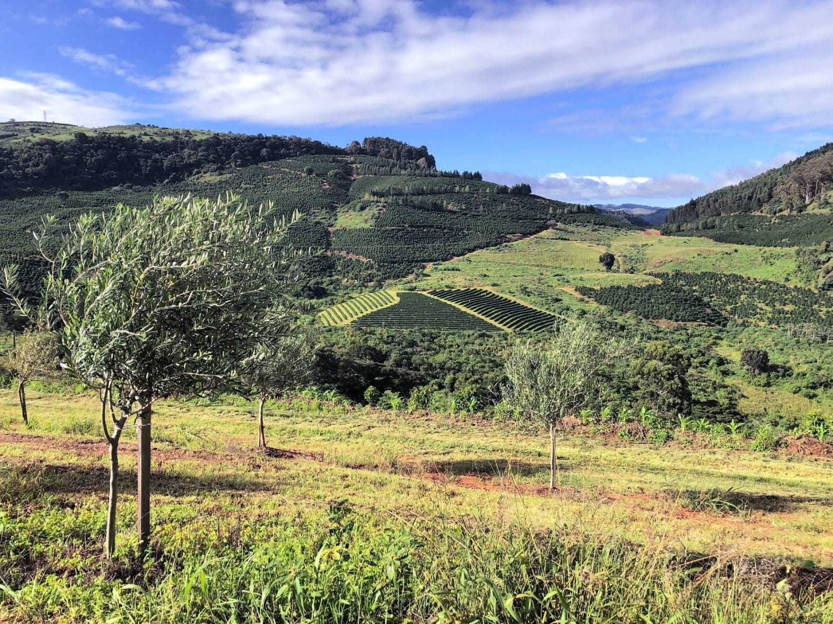 minas gerais paisagens