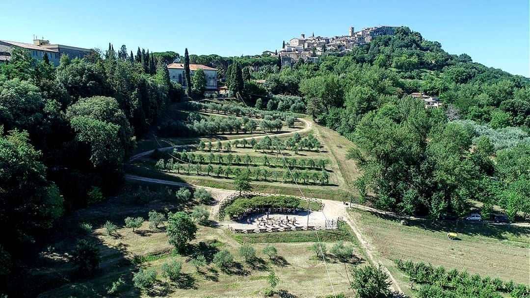 Европа-мир-в-Италии-студенты-возвращаются-к-учебе-среди-оливковых-деревьев-оливковое-масло-раз