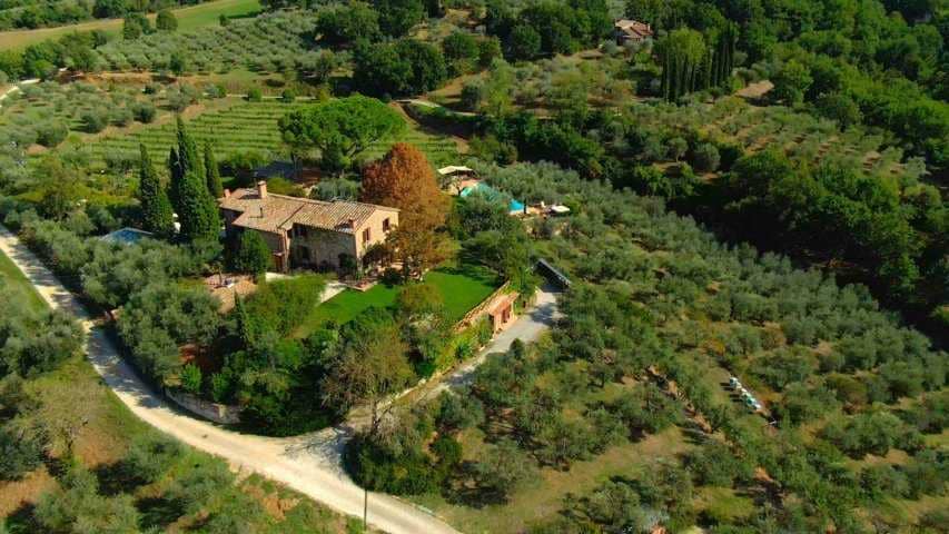 profiles-production-at-fontanaro-estate-quality-is-everything-olive-oil-times
