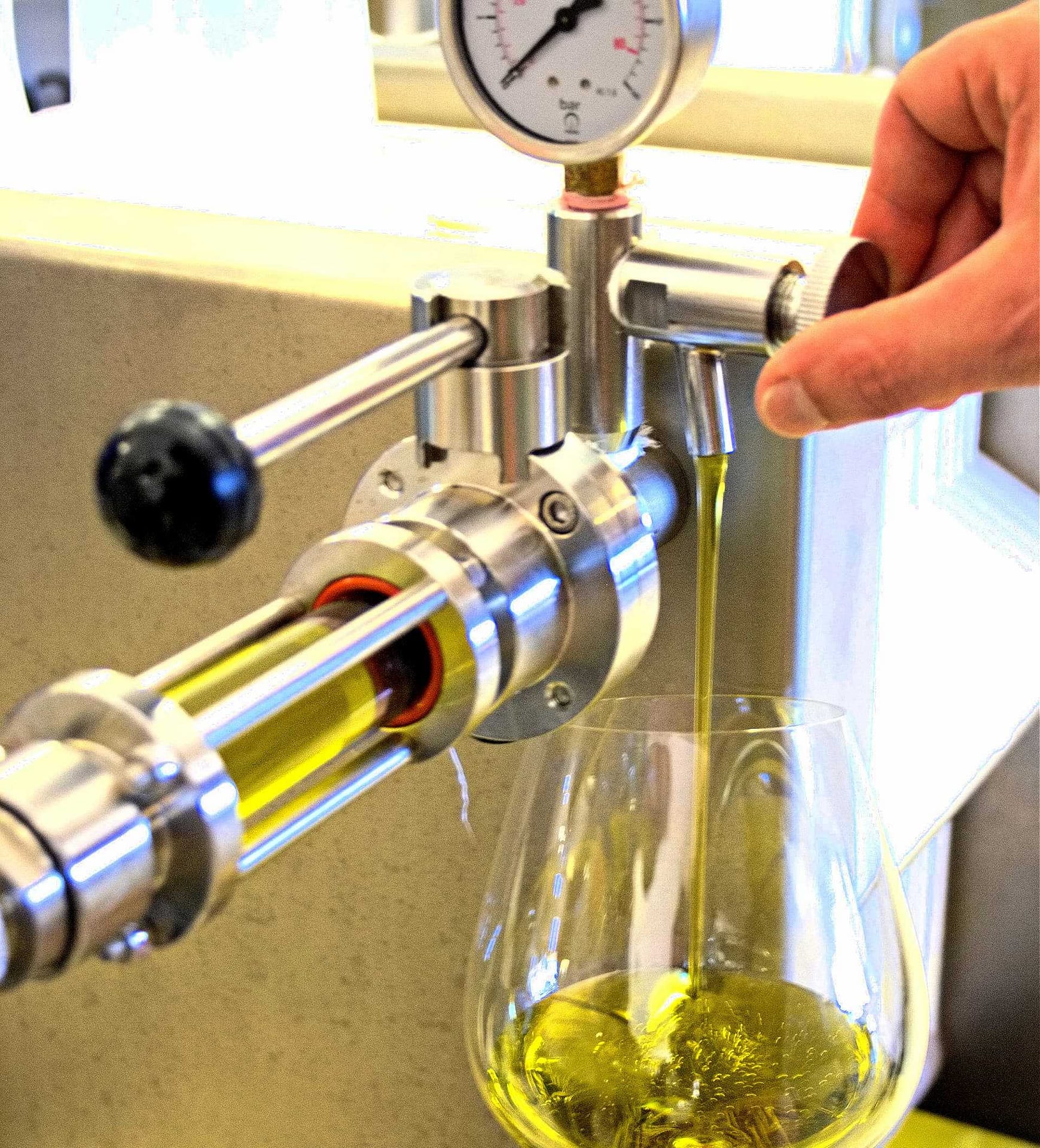 basics-huile-d'olive-filtrée-ou-non-filtrée-un-choix-pour-les-consommateurs-huile-d'olive-temps