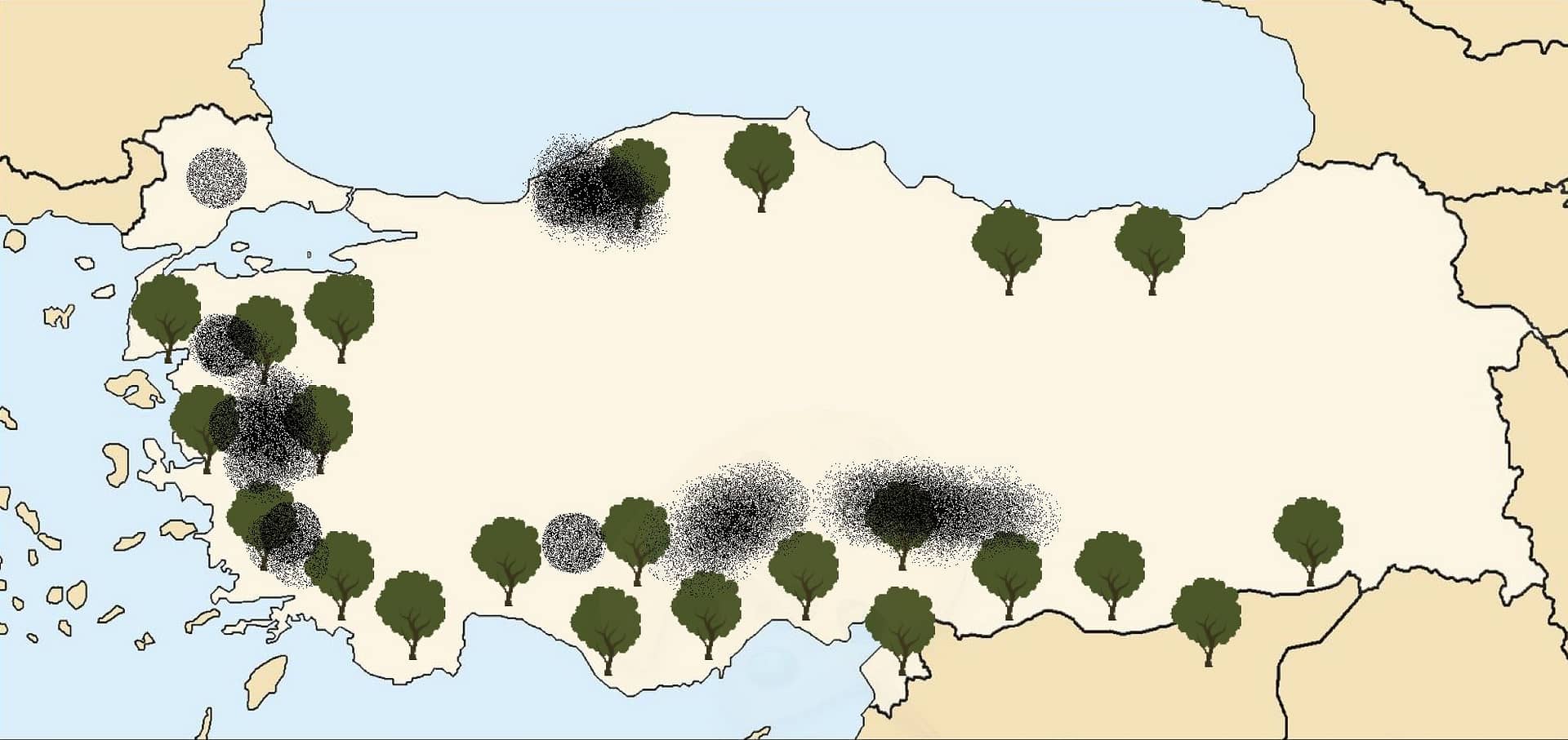 土耳其的亞洲商業新法規允許橄欖樹移除換煤開採橄欖油時代