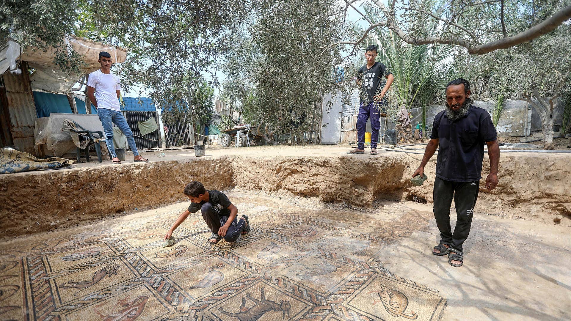 África-Oriente Médio-agricultor-azeitona-desenterra-um-mosaico-antigo-em-gaza-azeite-tempos