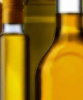 Collection of different oil bottles in various shapes and colors arranged together. - Olive Oil Times