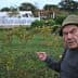 Elderly man wearing a hat pointing at grapevines in a vineyard with a greenhouse in the background. - Olive Oil Times