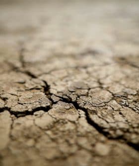 Close-up view of cracked dry soil surface with visible texture and patterns. - Olive Oil Times